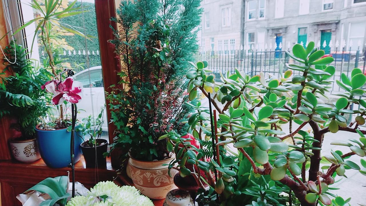 Swan Lake Guest House Эдинбург Экстерьер фото